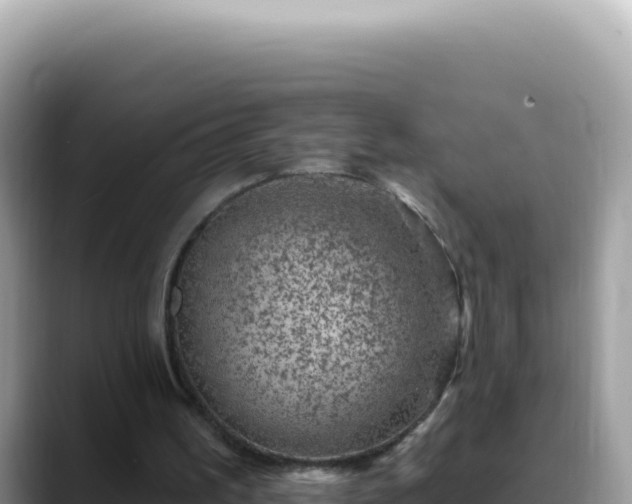 X0000088730195200706071646