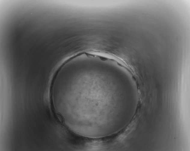 X0000088730196200706071646