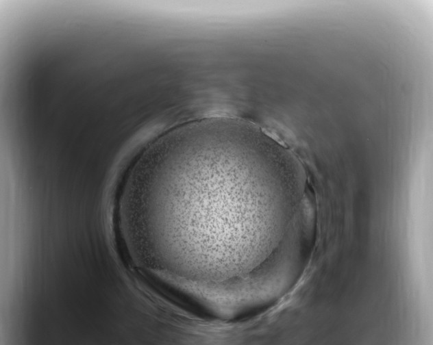 X0000088730197200706071646