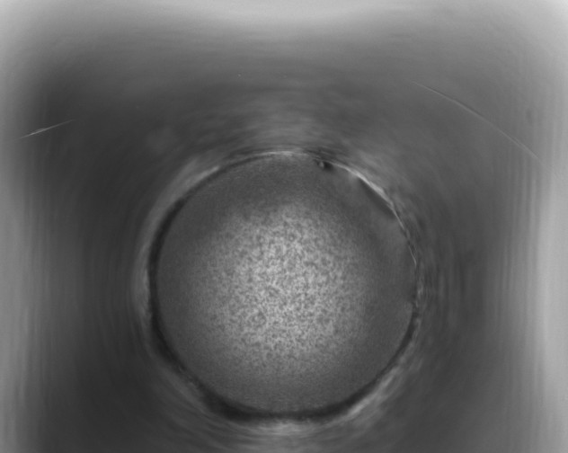 X0000088730198200706071646
