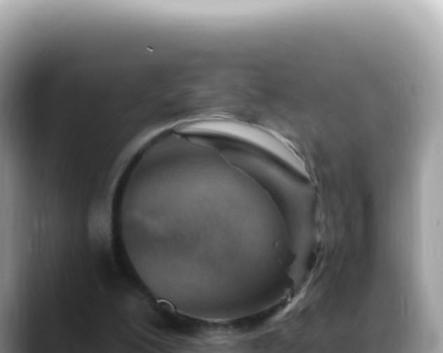 X0000088730200200706071646