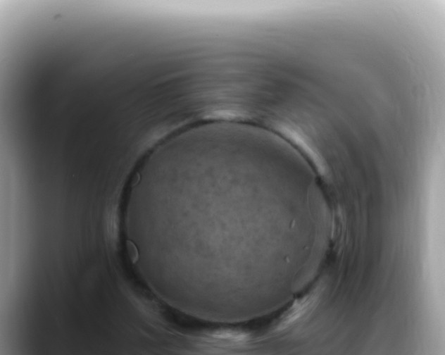X0000088730204200706071646