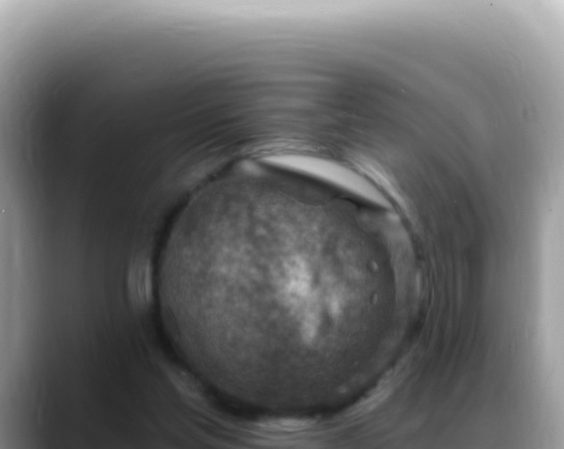 X0000088730205200706071646