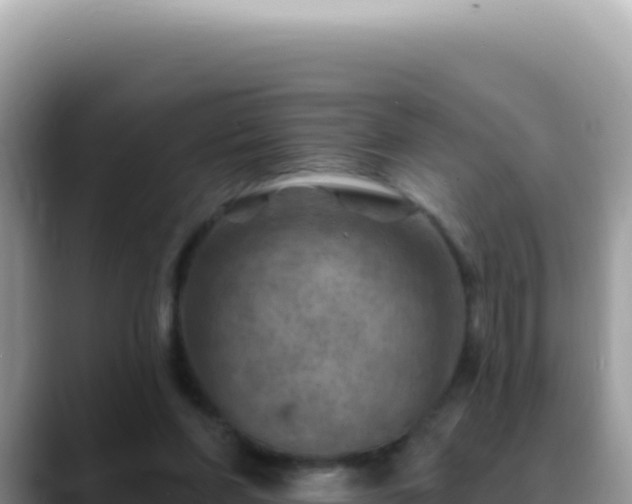 X0000088730206200706071646