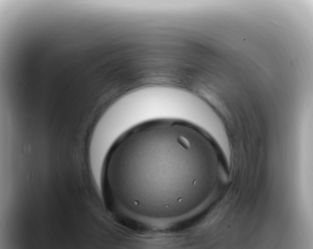 X0000088730207200706071646