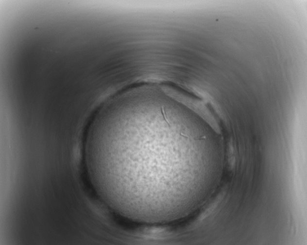 X0000088730208200706071646