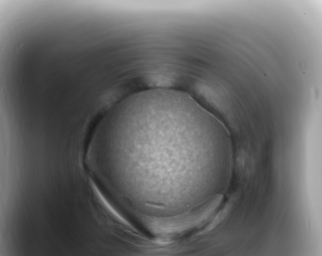 X0000088730209200706071646