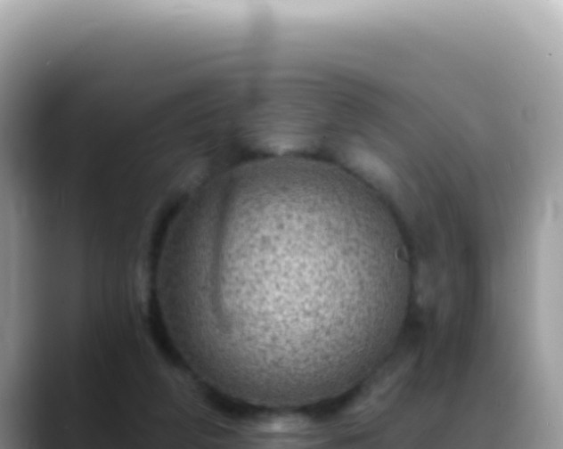X0000088730210200706071646