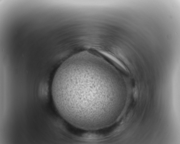 X0000088730211200706071646