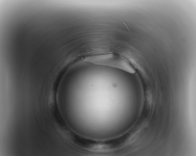 X0000088730212200706071646