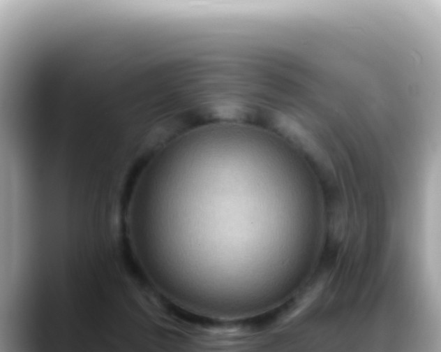 X0000088730213200706071646