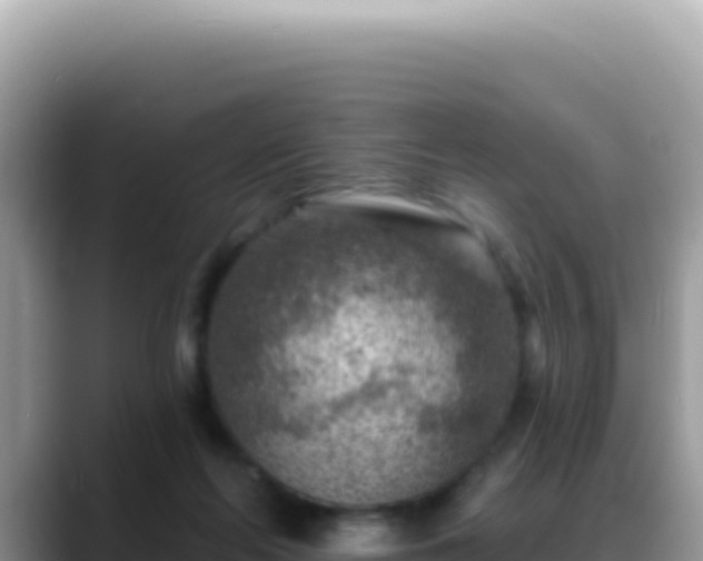 X0000088730214200706071646