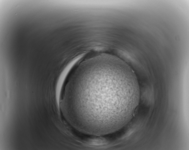 X0000088730215200706071646