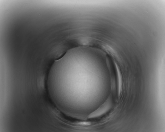 X0000088730217200706071646