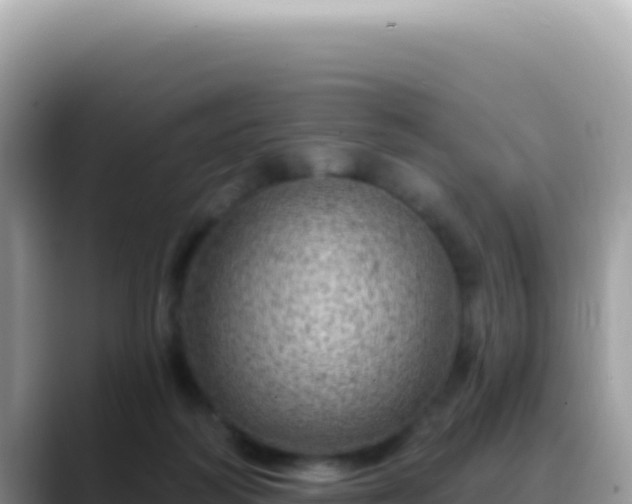 X0000088730218200706071646