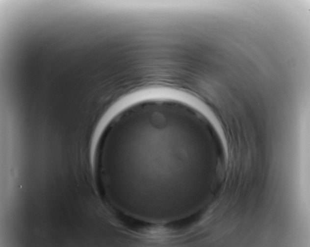 X0000088730219200706071646
