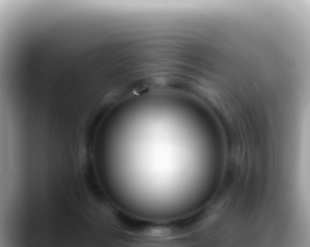 X0000088730220200706071646