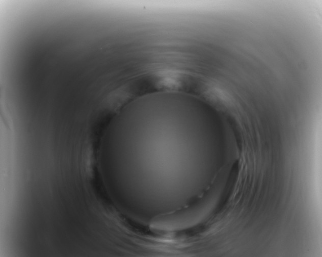 X0000088730223200706071646
