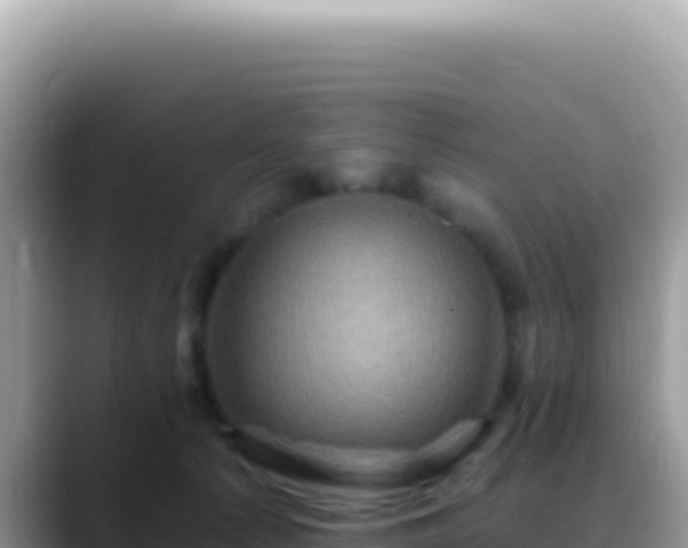 X0000088730225200706071646
