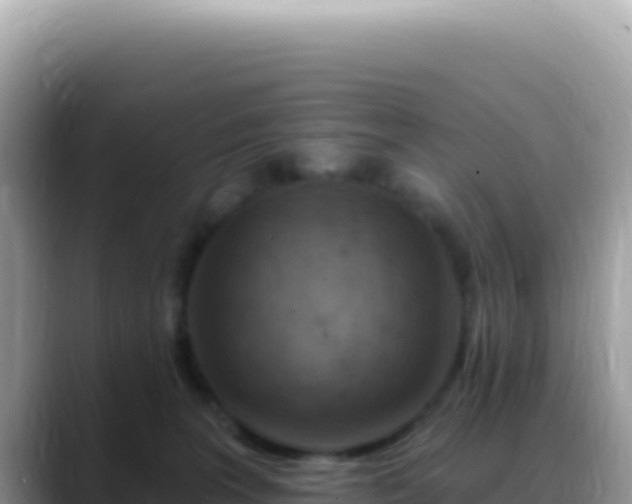 X0000088730227200706071646