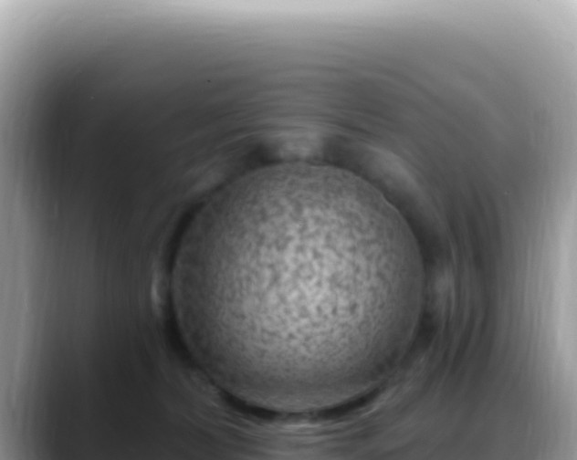 X0000088730228200706071646