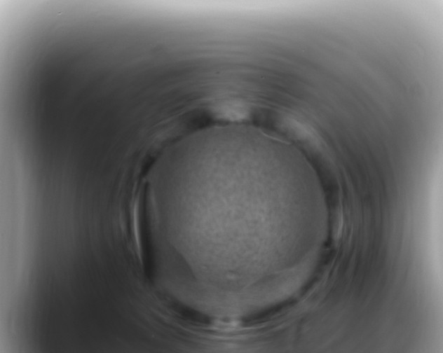 X0000088730229200706071646