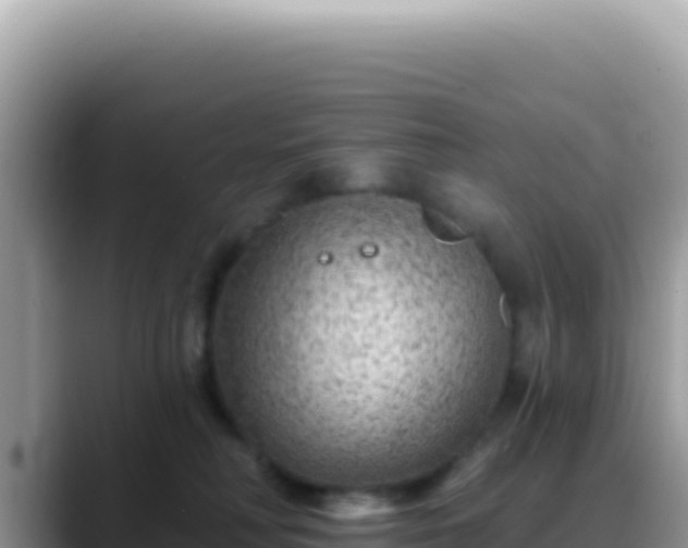 X0000088730230200706071646
