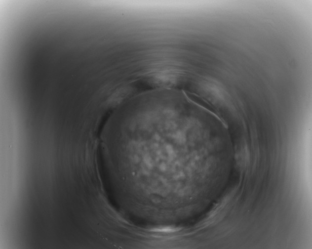 X0000088730231200706071646