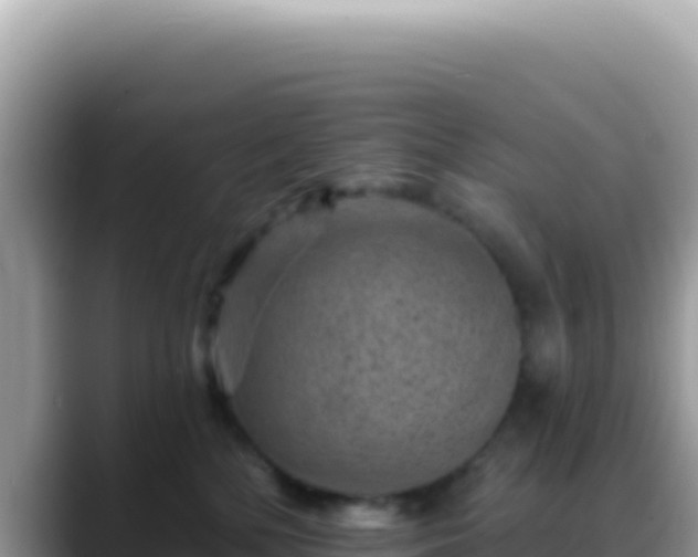 X0000088730232200706071646