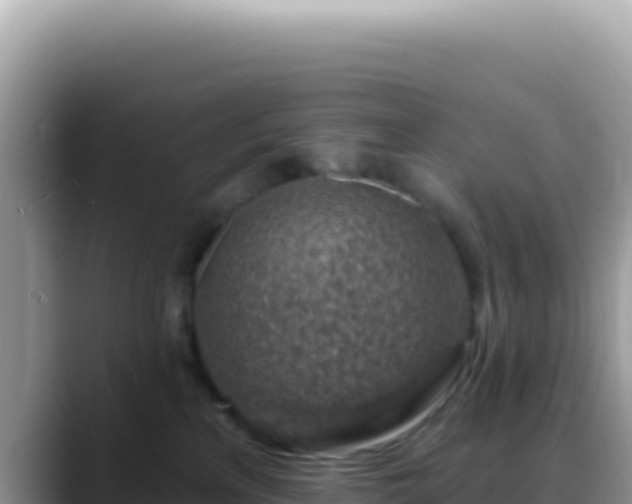 X0000088730233200706071646
