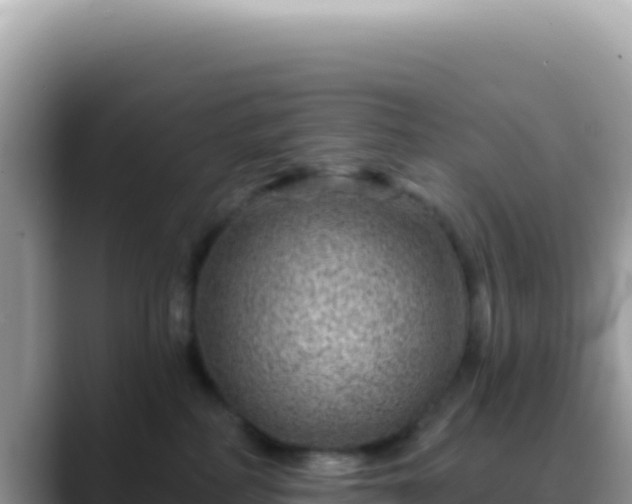 X0000088730234200706071646