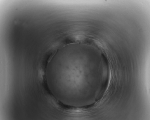 X0000088730235200706071646