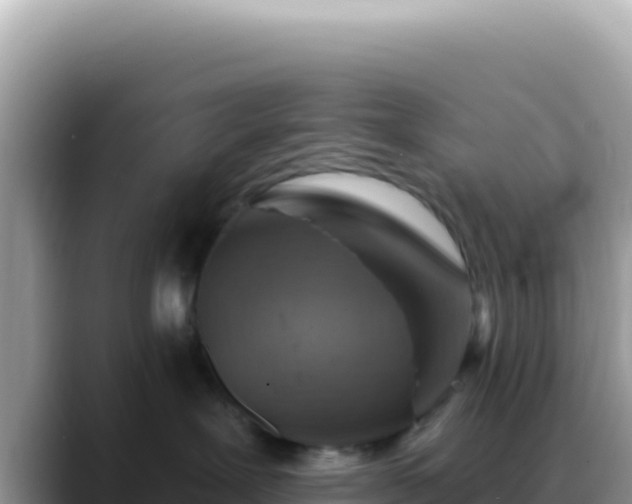X0000088730239200706071646