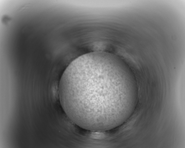 X0000088730240200706071646