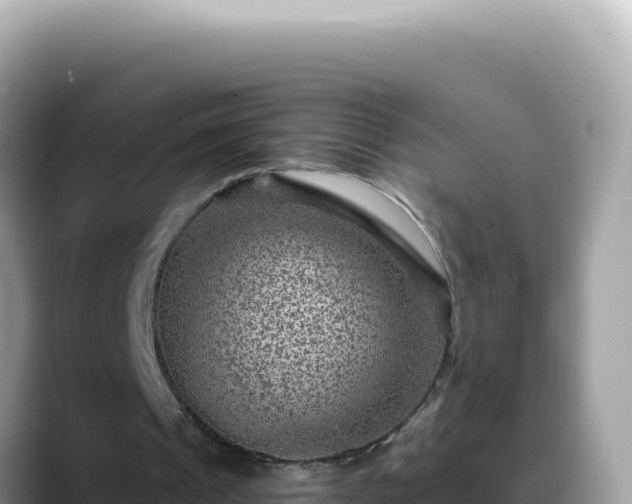 X0000088730241200706071645