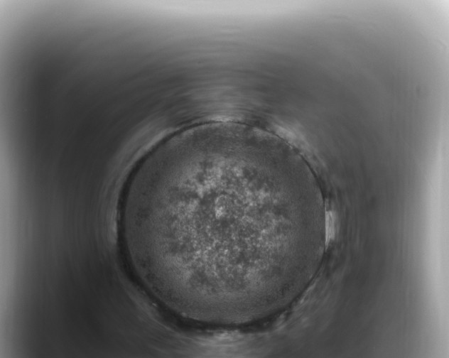 X0000088730243200706071645