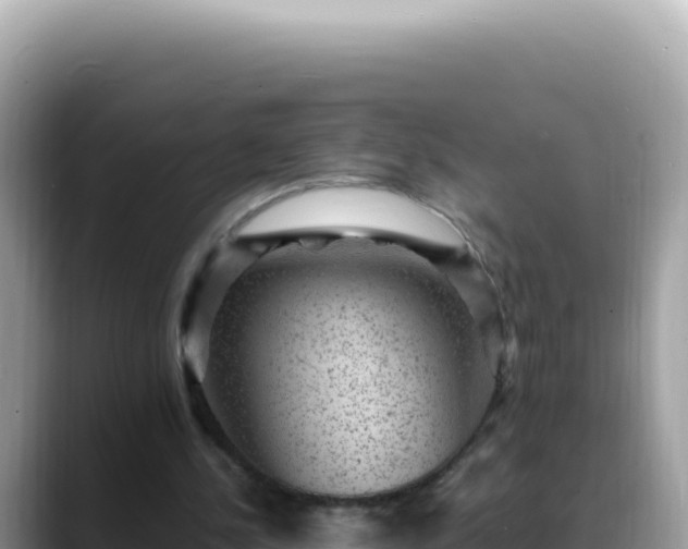 X0000088730244200706071645