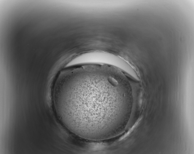 X0000088730245200706071645