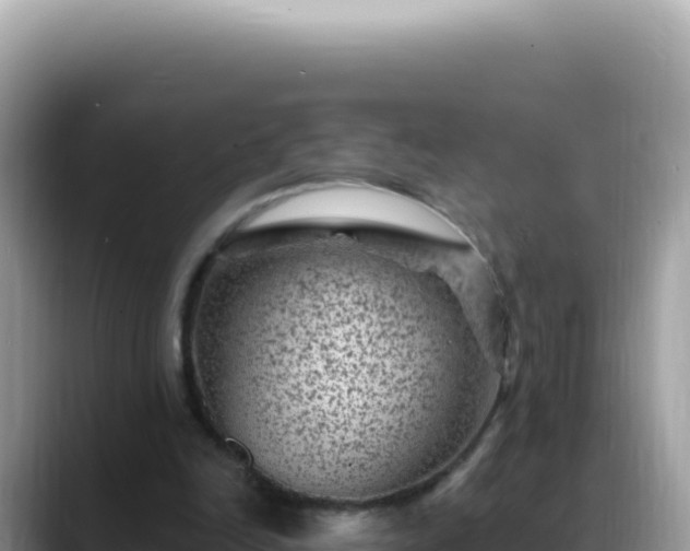 X0000088730246200706071645