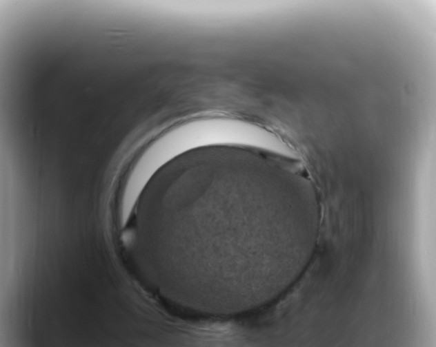 X0000088730247200706071645