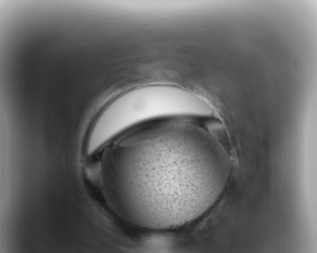 X0000088730248200706071645