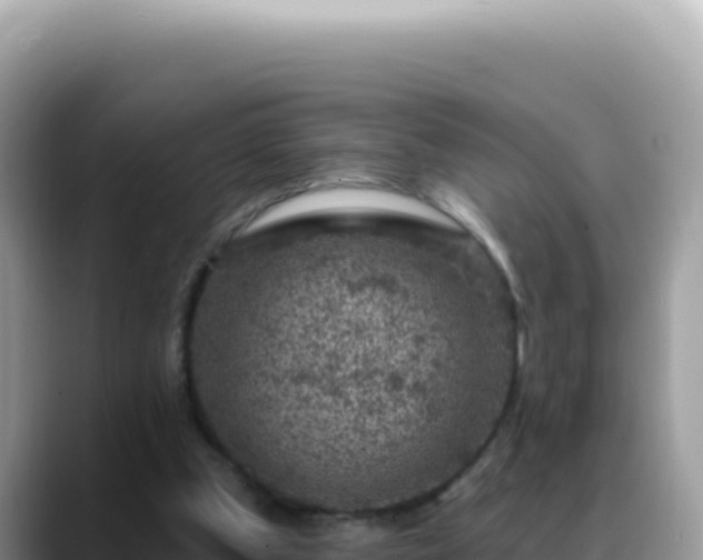 X0000088730249200706071645