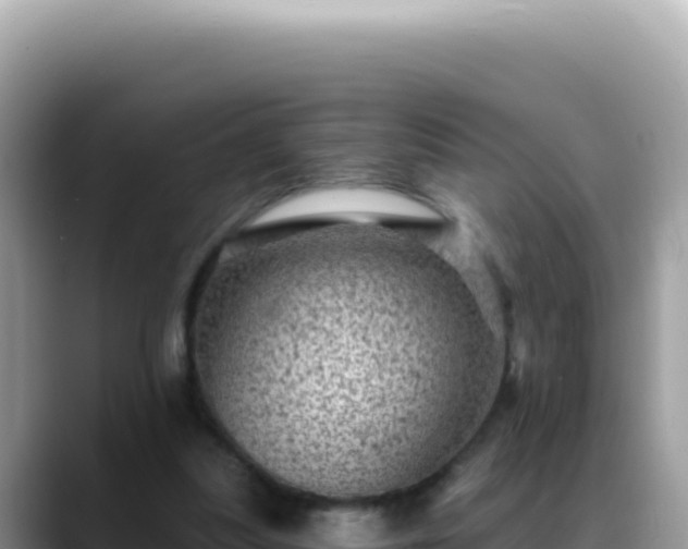 X0000088730251200706071645