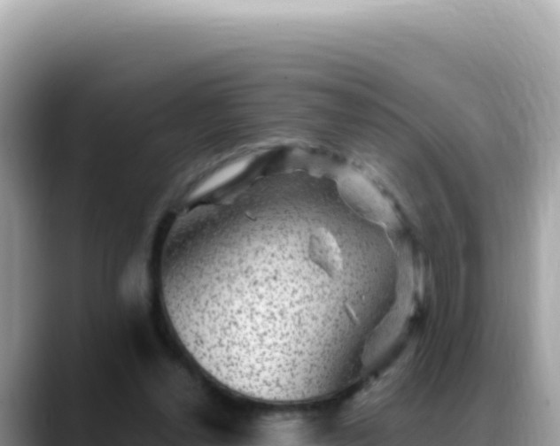 X0000088730252200706071645