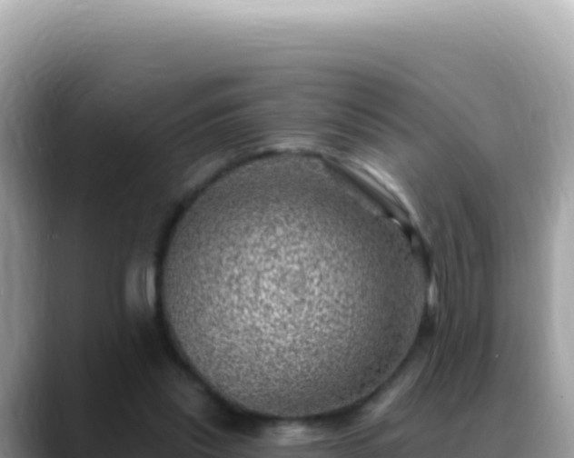 X0000088730253200706071645