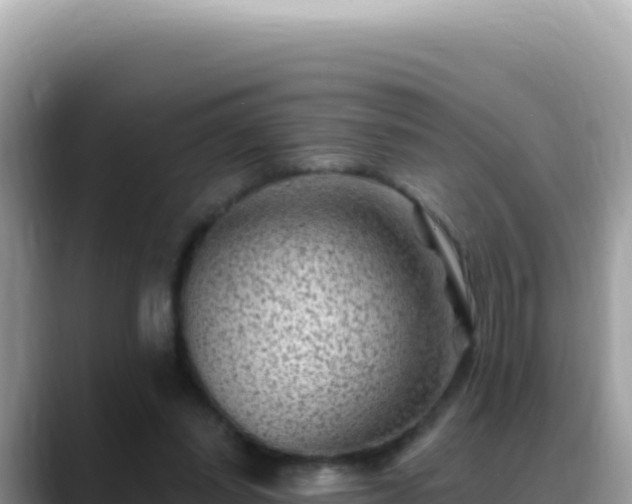 X0000088730254200706071645