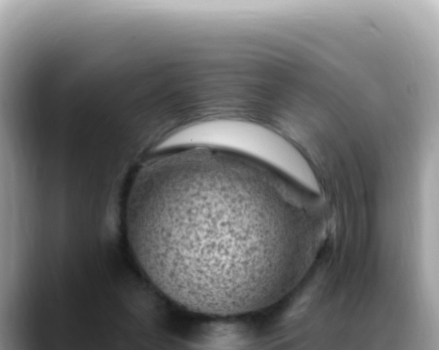 X0000088730255200706071645