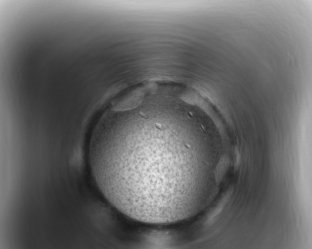 X0000088730256200706071645