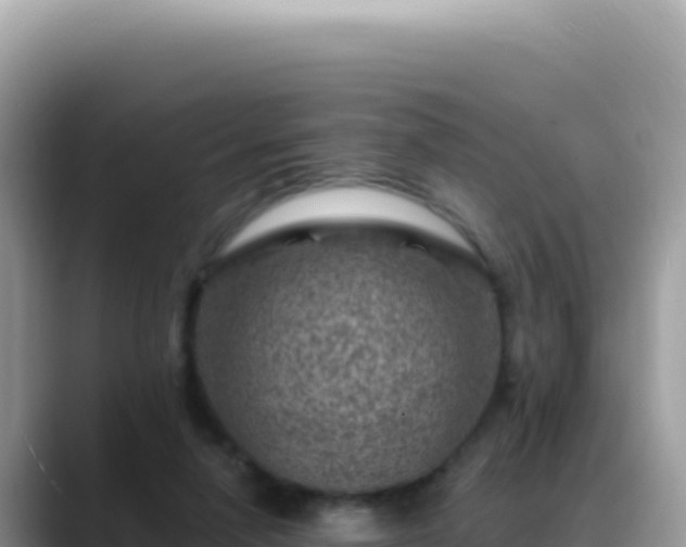 X0000088730258200706071645