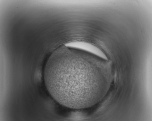 X0000088730259200706071645